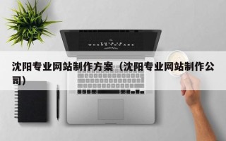新乡沈阳专业网站制作方案（沈阳专业网站制作公司）